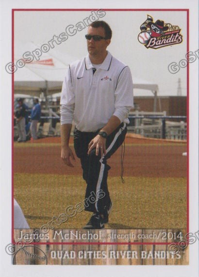 2014 Quad Cities River Bandits James McNichol