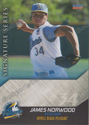 2017 Myrtle Beach Pelicans James Norwood
