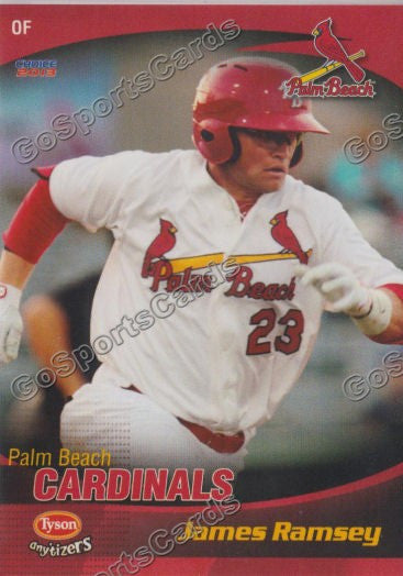 2013 Palm Beach Cardinals James Ramsey