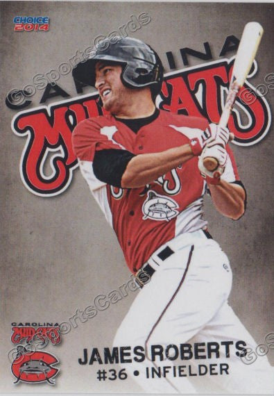 2014 Carolina Mudcats James Roberts