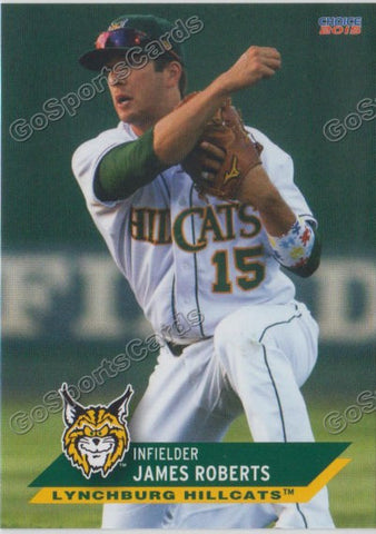 2015 Lynchburg Hillcats James Roberts