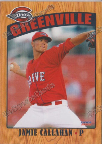 2015 Greenville Drive Jamie Callahan