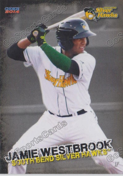 2014 South Bends Silver Hawks Jamie Westbrook