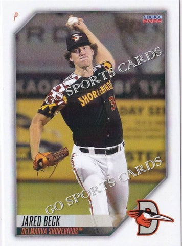 2022 Delmarva Shorebirds Jared Beck