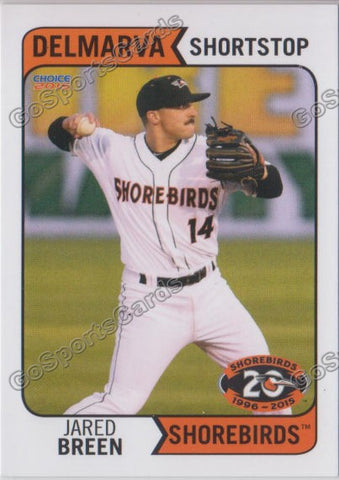 2015 Delmarva Shorebirds Jared Breen