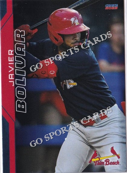 2023 Palm Beach Cardinals Javier Bolivar