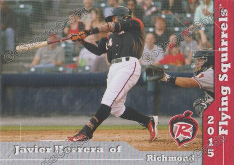 2015 Richmond Flying Squirrels Javier Herrera