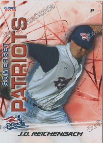 2014 Somerset Patriots JD Reichenbach