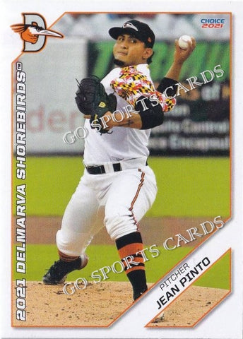 2021 Delmarva Shorebirds Update Jean Pinto