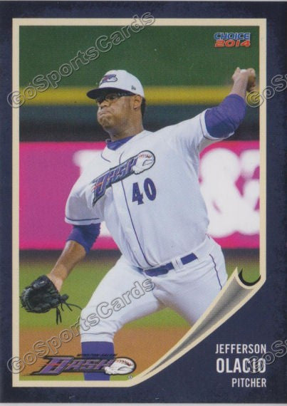 2014 Winston Salem Dash Jefferson Olacio