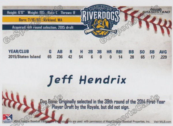 2016 Charleston RiverDogs Jeff Hendrix Back of Card