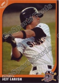 2007 Erie SeaWolves Jeff Larish