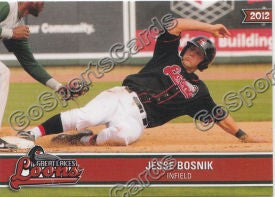 2012 Great Lakes Loons Jesse Bosnik
