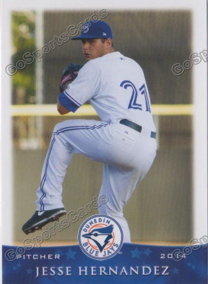2014 Dunedin Blue Jays Jesse Hernandez
