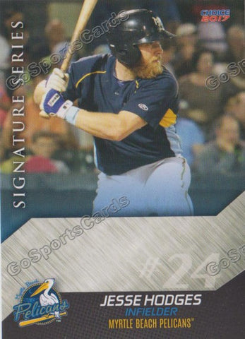 2017 Myrtle Beach Pelicans Jesse Hodges