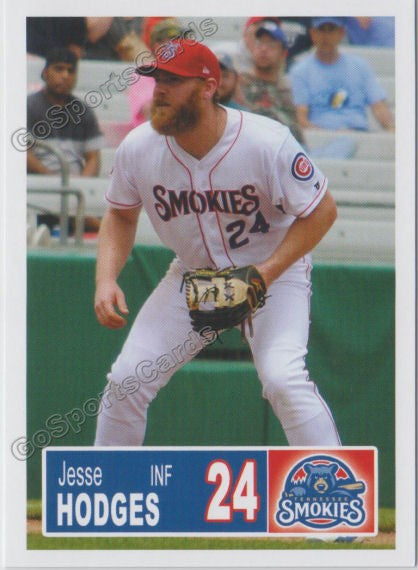 2018 Tennessee Smokies Jesse Hodges