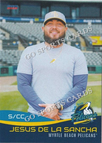 2023 Myrtle Beach Pelicans Jesus De La Sancha