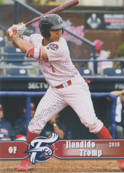 2018 Reading Fightin Phils Jiandido Tromp