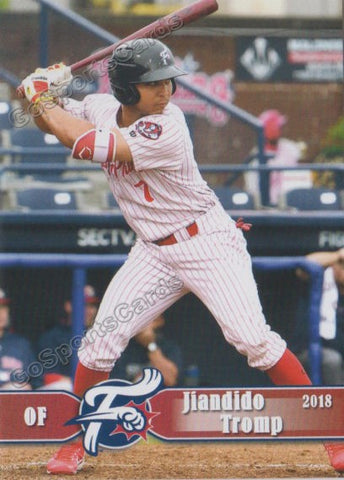 2018 Reading Fightin Phils Jiandido Tromp