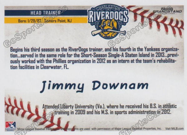 2016 Charleston RiverDogs Jimmy Downam Back of Card