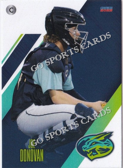 2022 Lynchburg Hillcats Joe Donovan