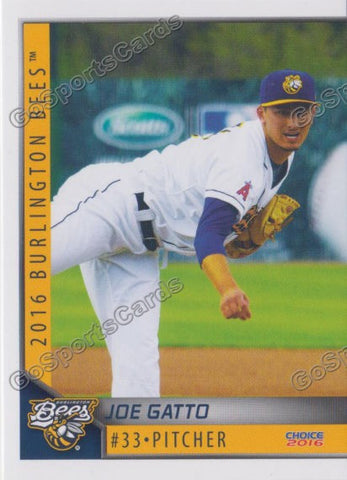 2016 Burlington Bees Joe Gatto