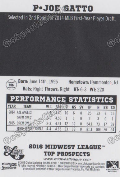 2016 Midwest League Top Prospect Joe Gatto Back of Card