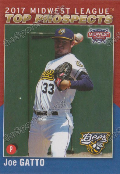 2017 Midwest League Top Prospects MWL Joe Gatto