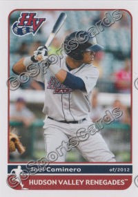 2012 Hudson Valley Renegades Joel Caminero