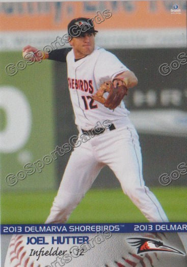 2013 Delmarva Shorebirds Joel Hutter