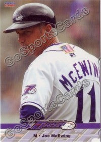 2010 Winston Salem Dash Joe McEwing