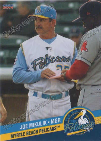2014 Myrtle Beach Pelicans Joe Mikulik