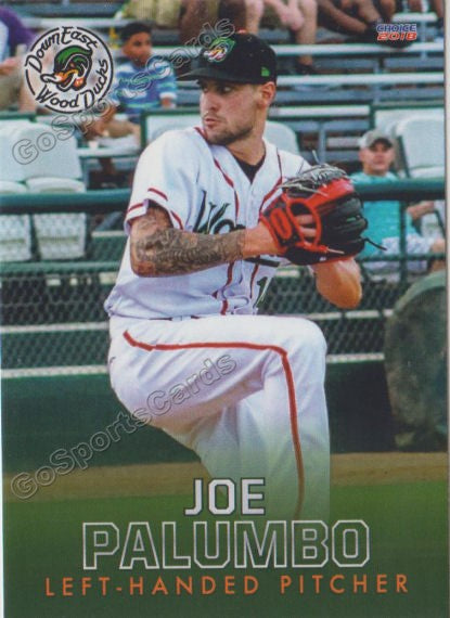 2018 Down East Wood Ducks Joe Palumbo