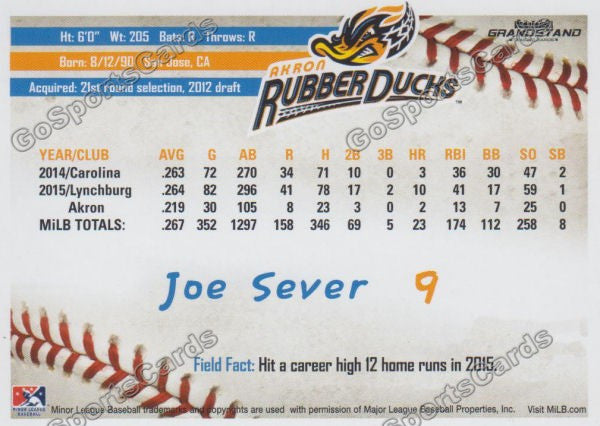 2016 Akron Aeros Joe Sever Back of Card