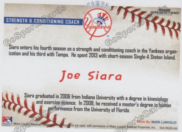 2016 Tampa Yankees Joe Siara Back of Card