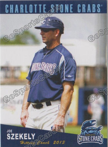 2013 Charlotte Stone Crabs Joe Szekely