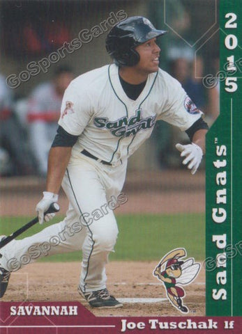 2015 Savannah Sand Gnats Joe Tuschak