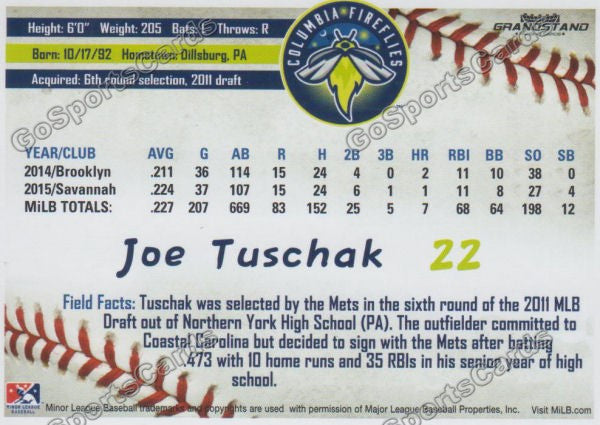 2016 Columbia Fireflies Joe Tuschak Back of Card