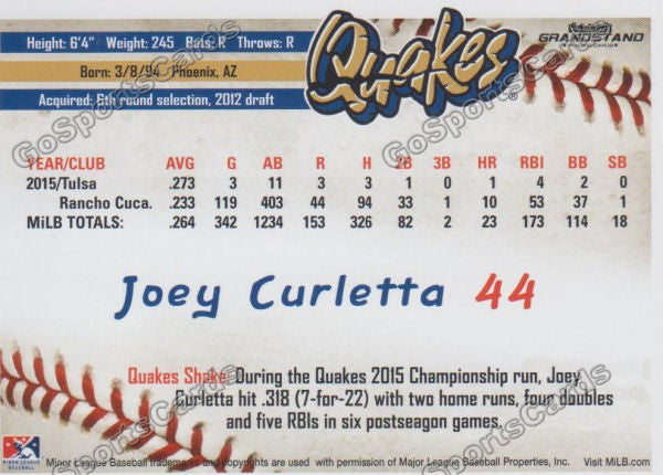 2016 Rancho Cucamonga Quakes Joey Curletta Back of Card