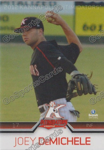 2013 Kannapolis Intimidators Joey DeMichele