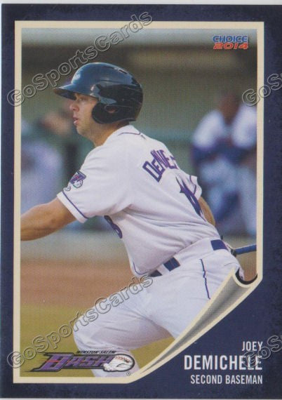 2014 Winston Salem Dash Joey Demichele