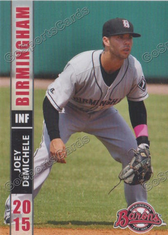 2015 Birmingham Barons Joey DeMichele