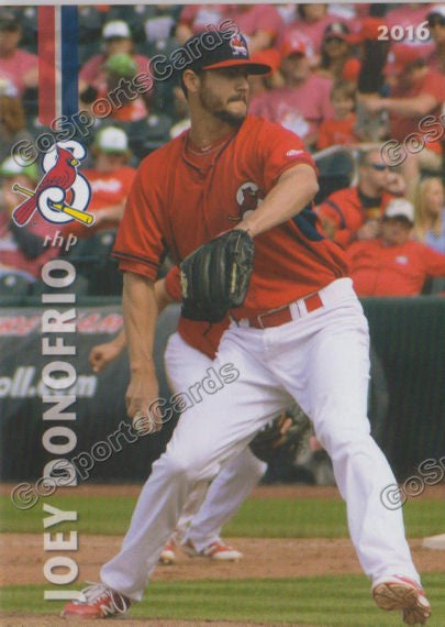 2016 Springfield Cardinals Joey Donofrio