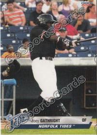 2010 Norfolk Tides Joey Gathright