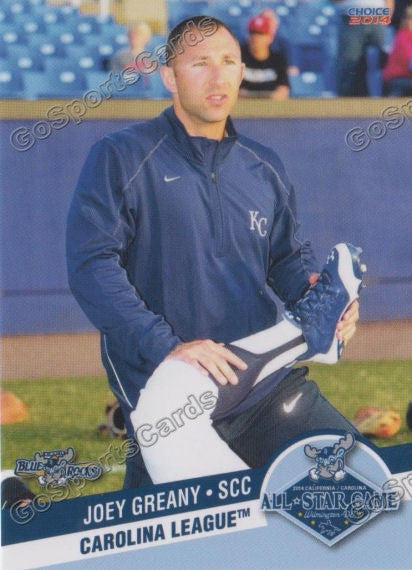 2014 Carolina League All Star Joey Greany