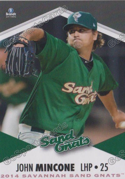 2014 Savannah Sand Gnats John Mincone