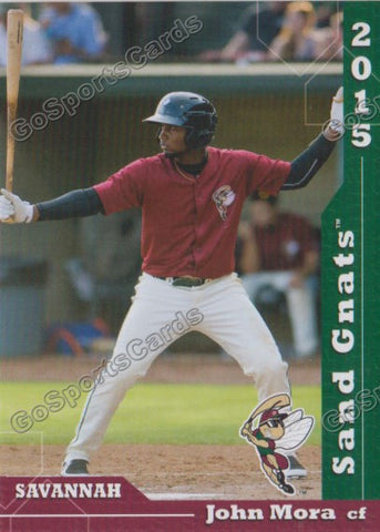 2015 Savannah Sand Gnats John Mora