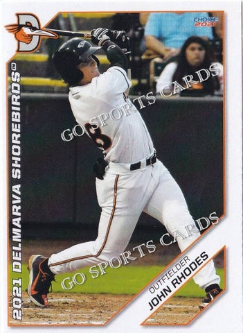 2021 Delmarva Shorebirds Update John Rhodes