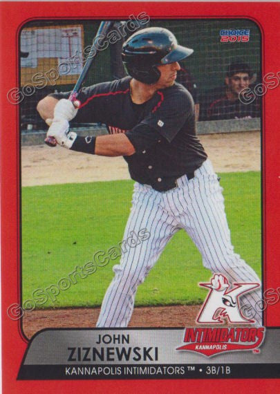 2015 Kannapolis Intimidators John Ziznewski