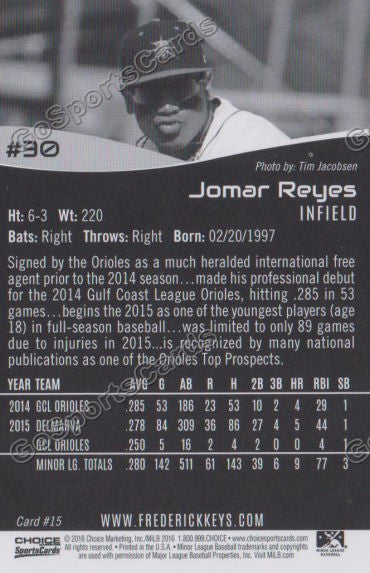 2016 Frederick Keys Jomar Reyes Back of Card